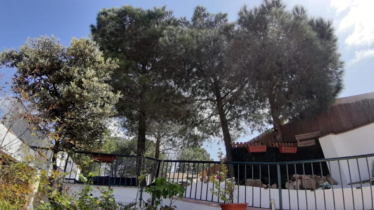 El Pinar Del Coto Villa Córdoba Eksteriør billede