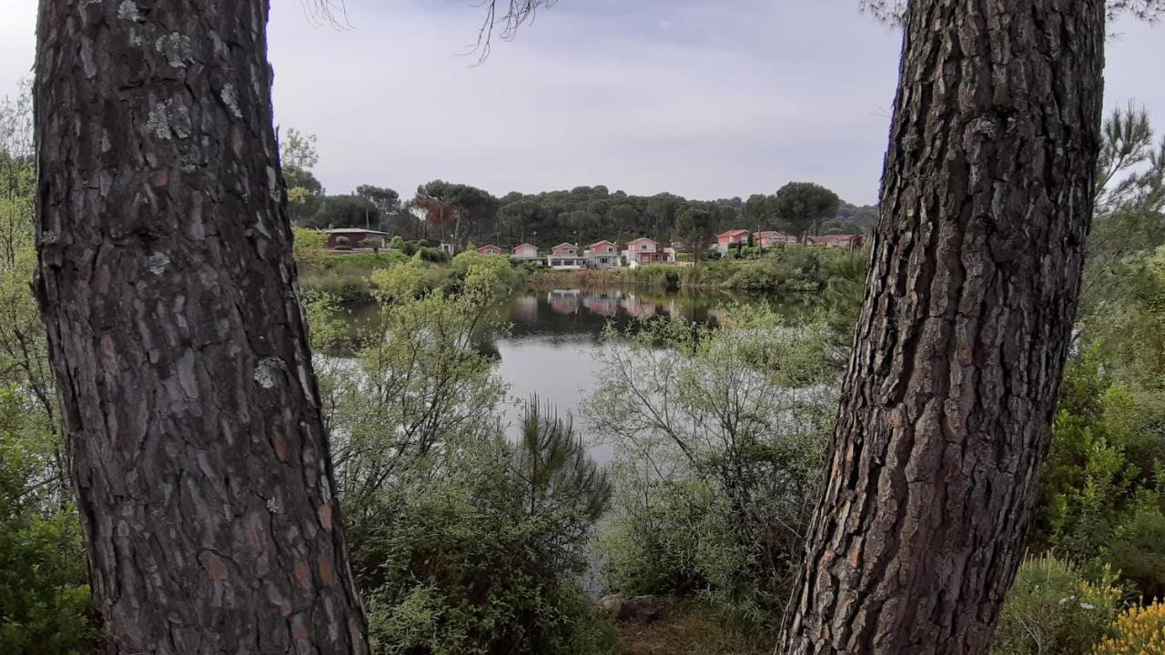 El Pinar Del Coto Villa Córdoba Eksteriør billede